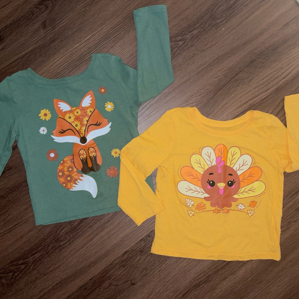 The Children’s Place Fox & Turkey Graphic Tees (18-24m)